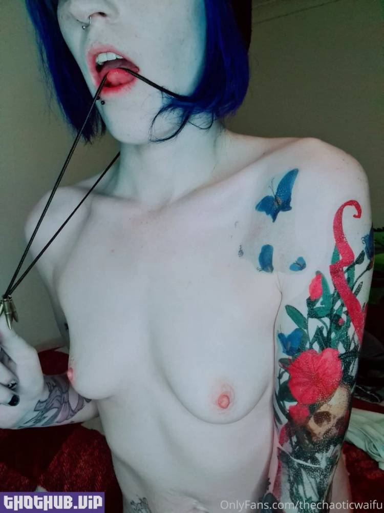 Thechaoticwaifu onlyfans leaks nude photos and videos - #22