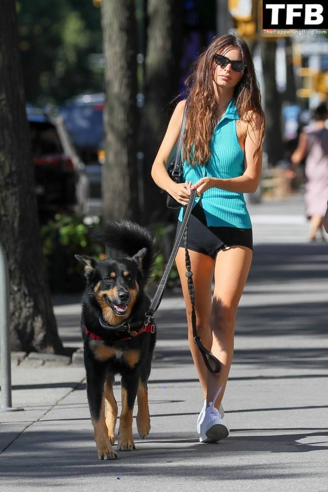 Leggy Emily Ratajkowski Takes Her Dog For a Stroll in New York City - #33