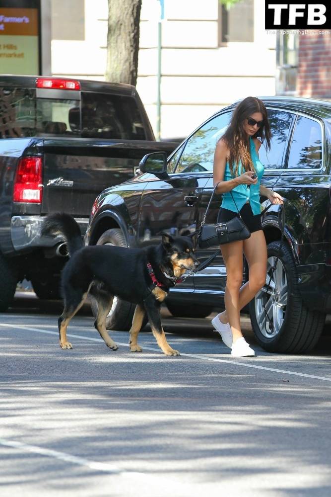 Leggy Emily Ratajkowski Takes Her Dog For a Stroll in New York City - #6