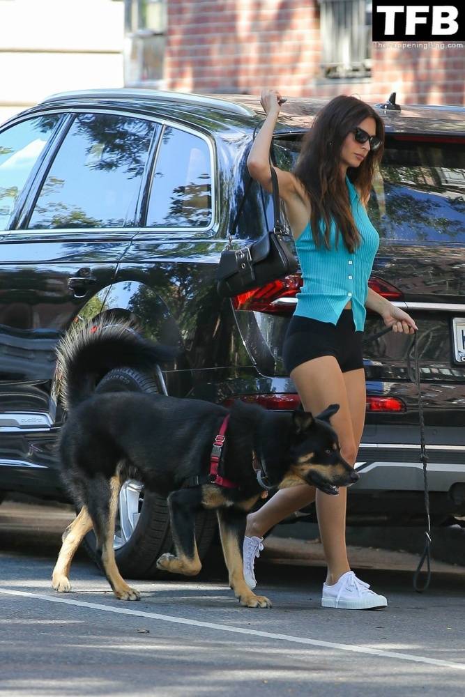 Leggy Emily Ratajkowski Takes Her Dog For a Stroll in New York City - #28
