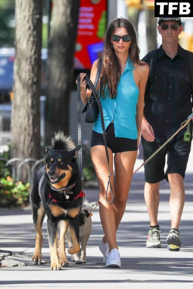 Leggy Emily Ratajkowski Takes Her Dog For a Stroll in New York City - #17