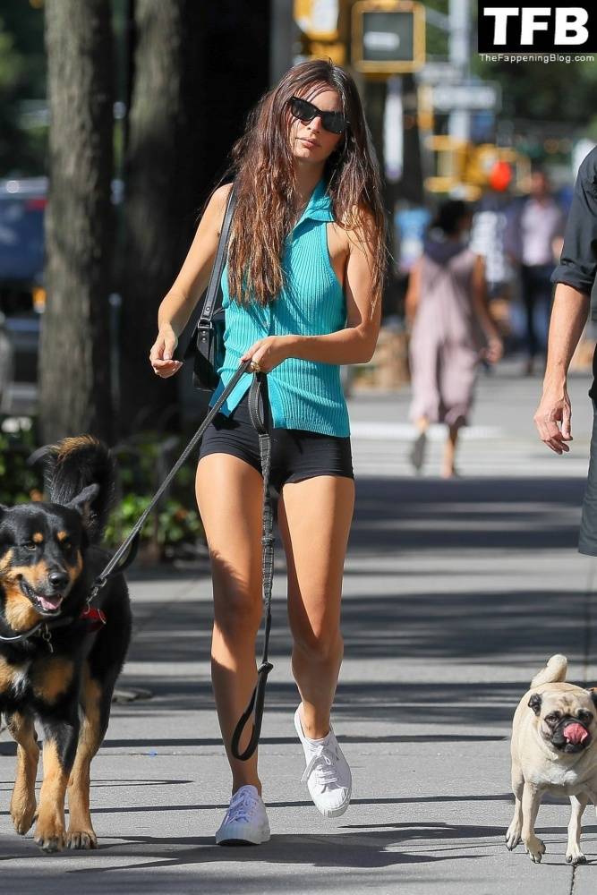 Leggy Emily Ratajkowski Takes Her Dog For a Stroll in New York City - #1