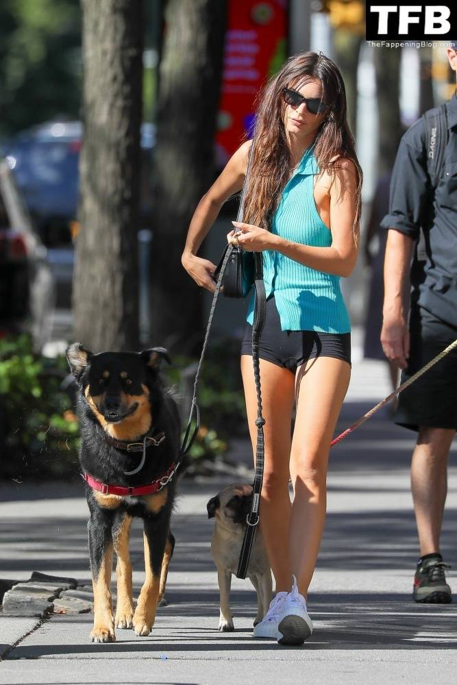 Leggy Emily Ratajkowski Takes Her Dog For a Stroll in New York City - #30