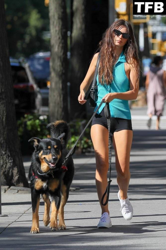 Leggy Emily Ratajkowski Takes Her Dog For a Stroll in New York City - #34