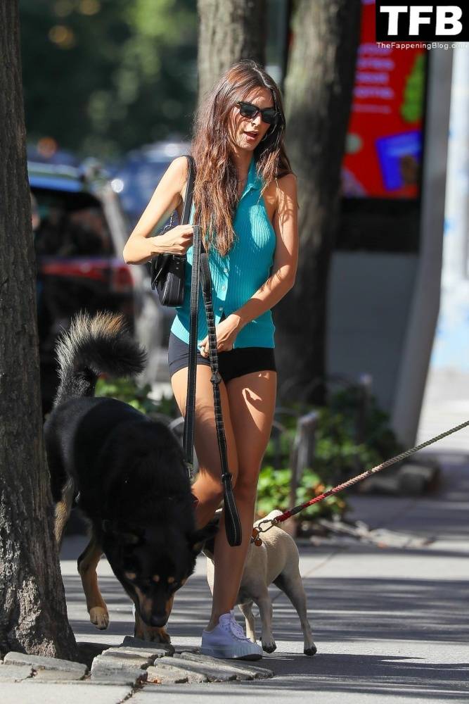 Leggy Emily Ratajkowski Takes Her Dog For a Stroll in New York City - #29