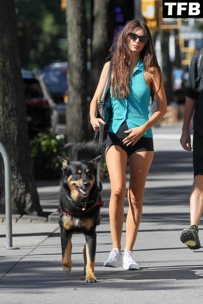 Leggy Emily Ratajkowski Takes Her Dog For a Stroll in New York City - #11