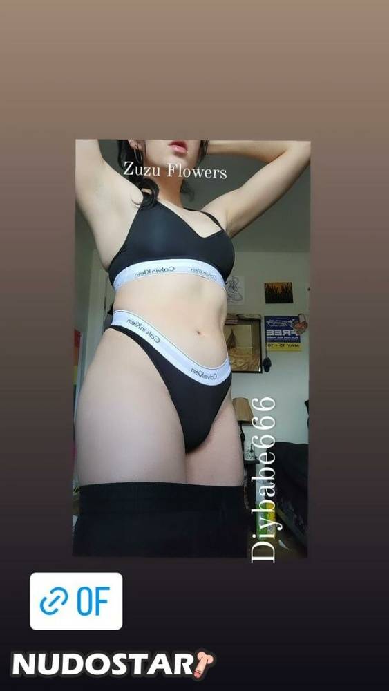 Zuzuflowers 2013 diybabe666 OnlyFans Leaks - #10