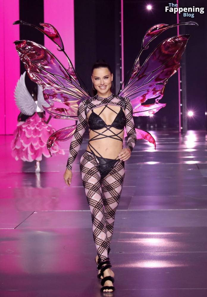 Adriana Lima Looks Sexy at the 2024 Victoria’s Secret Fashion Show (37 Photos) - #19