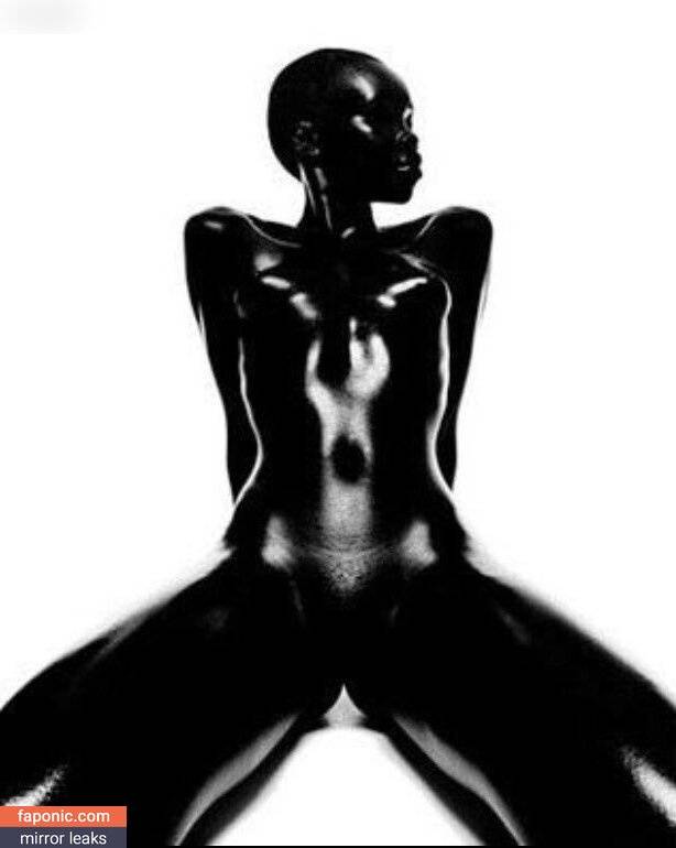 Alek Wek aka msalekwek Nude Leaks - #12