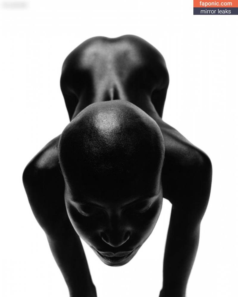 Alek Wek aka msalekwek Nude Leaks - #15