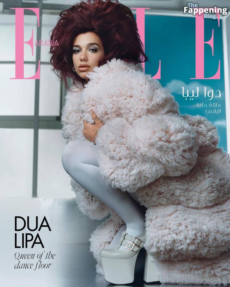 Dua Lipa Sexy – ELLE Magazine May 2024 Issue (36 Photos) - #8