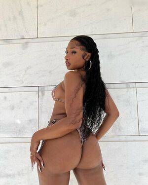 Megan thee stallion / megan_renee316 / theestallion Nude Leaks - #24