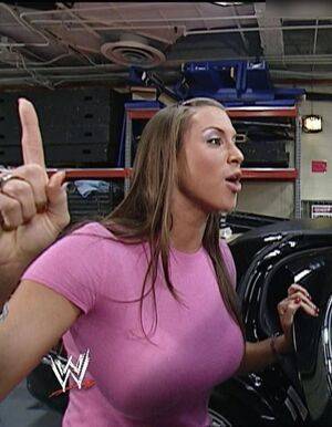 Stephanie McMahon / stephaniemcmahon Nude Leaks - Fapello - #20