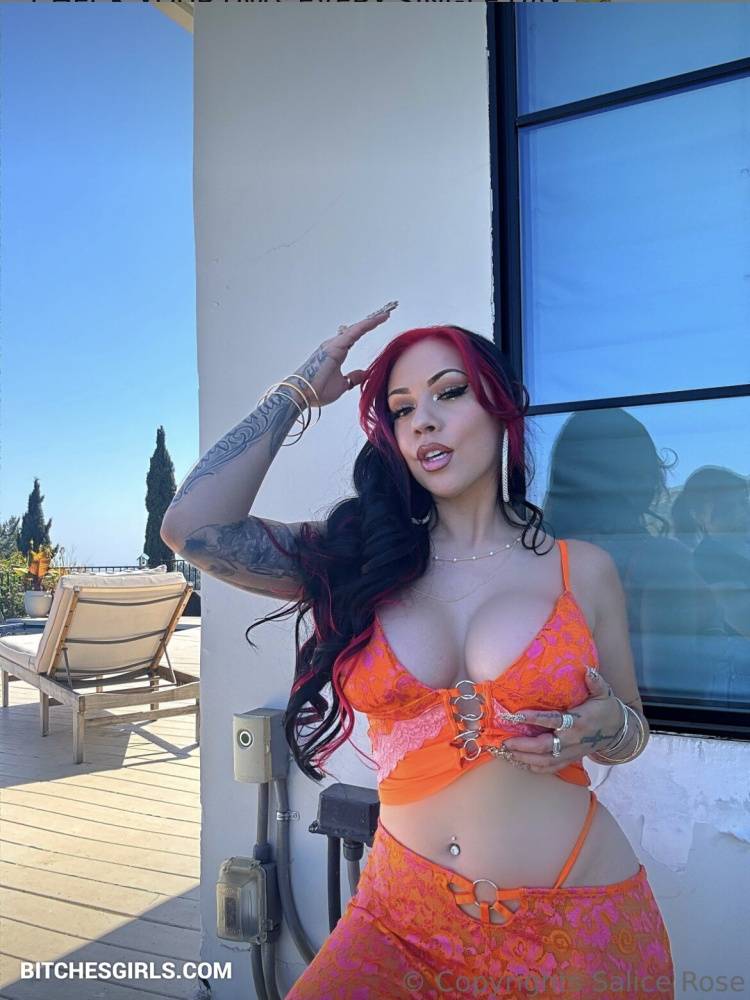 Salice Rose Nude Celeb - Salicerose Nude Videos Celeb - #9