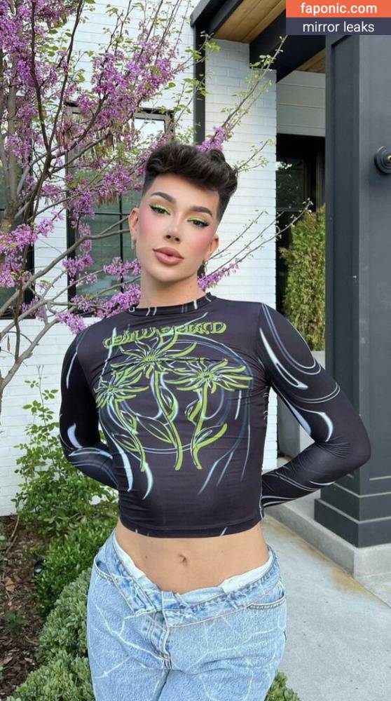 James Charles aka jamescharles Nude Leaks OnlyFans - #12