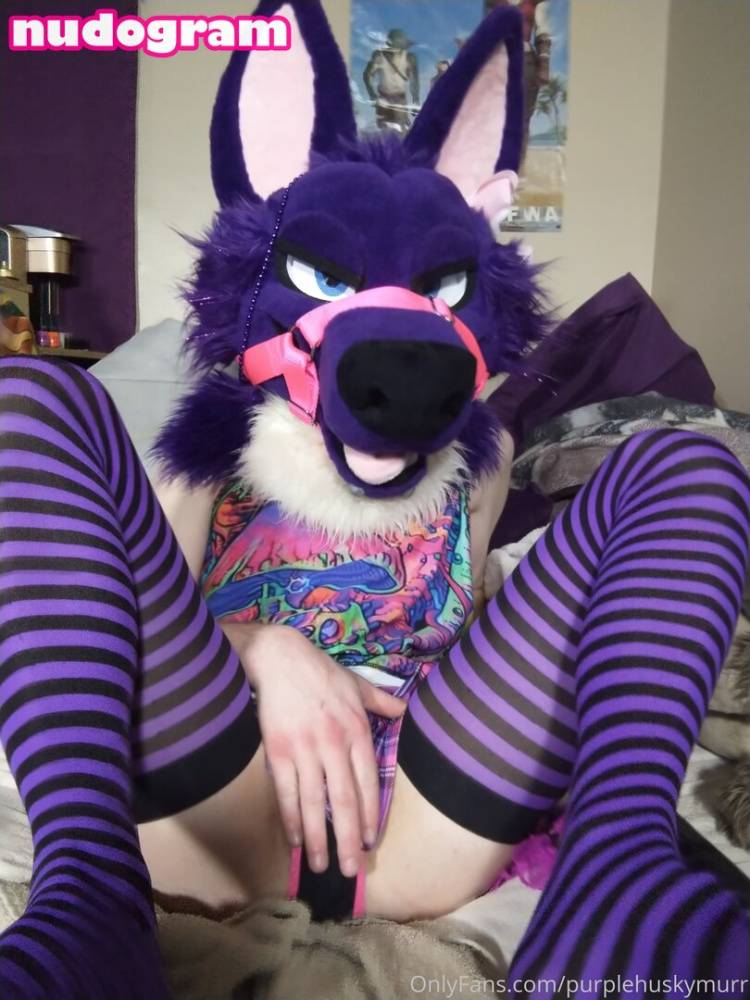 Purplehuskymurr / purplehuskymurr Nude Leaks OnlyFans - TheFap - #4