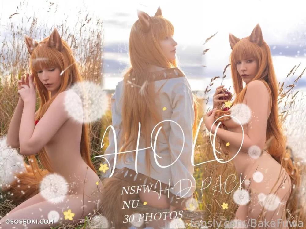 Baka Fuwa – Holo – Spice And Wolf | Ookami To Koushinryou - #main