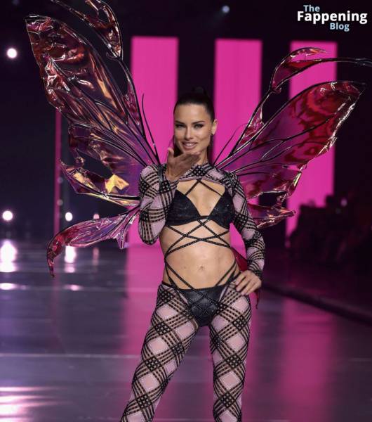 Adriana Lima Stuns at the Victoria’s Secret Fashion Show (80 New Photos) - city Lima on modeladdicts.com